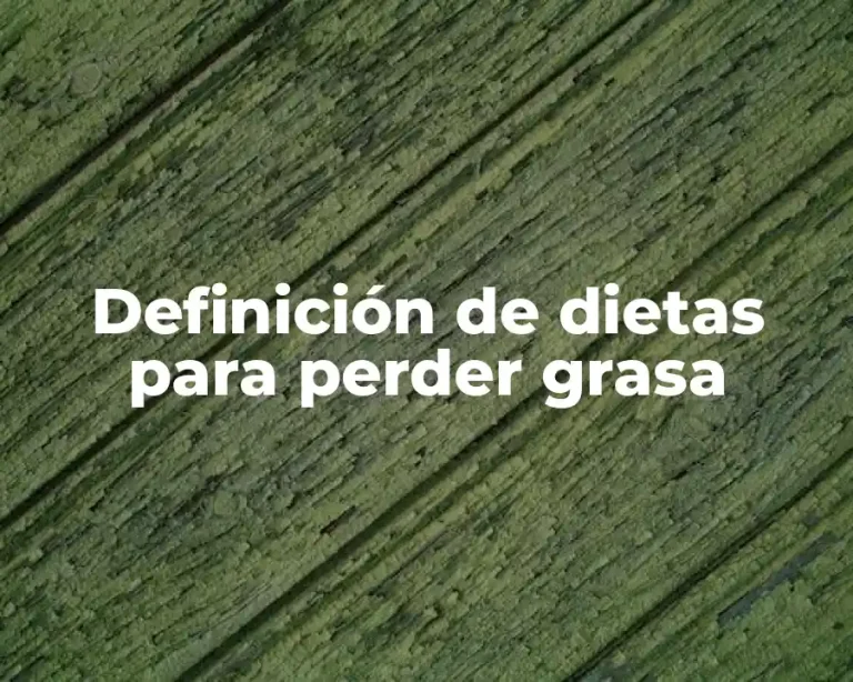 Definición de dietas para perder grasa