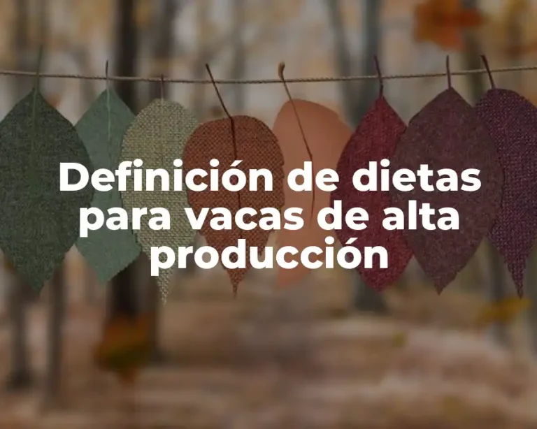 Definición de dietas para vacas de alta producción