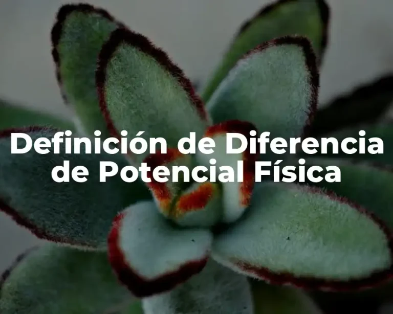 Definición de Diferencia de Potencial Física