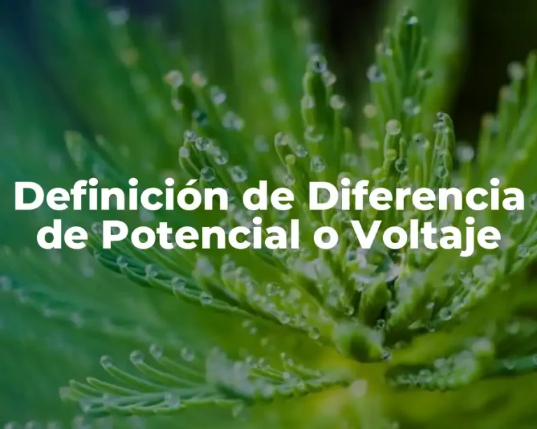 Definición de Diferencia de Potencial o Voltaje