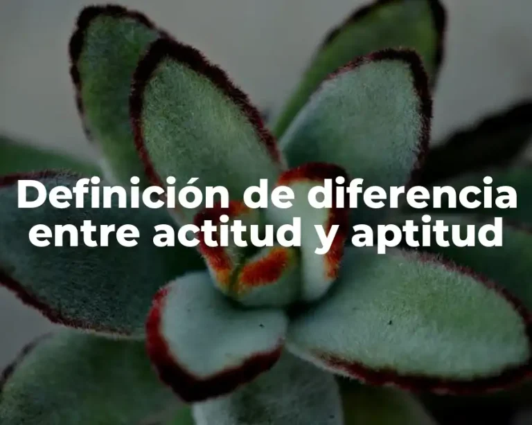 Definición de diferencia entre actitud y aptitud