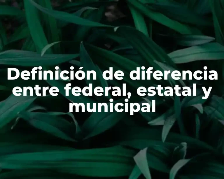 Definición de diferencia entre federal, estatal y municipal