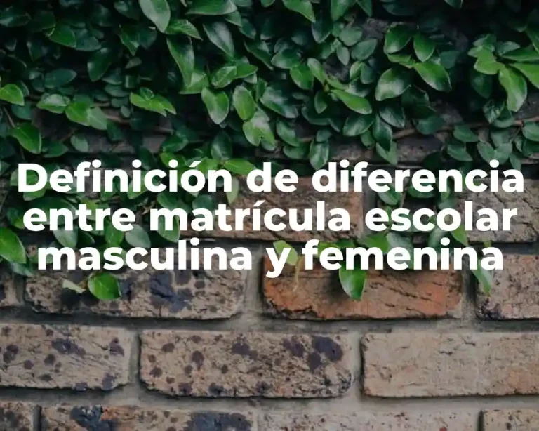 Definición de diferencia entre matrícula escolar masculina y femenina