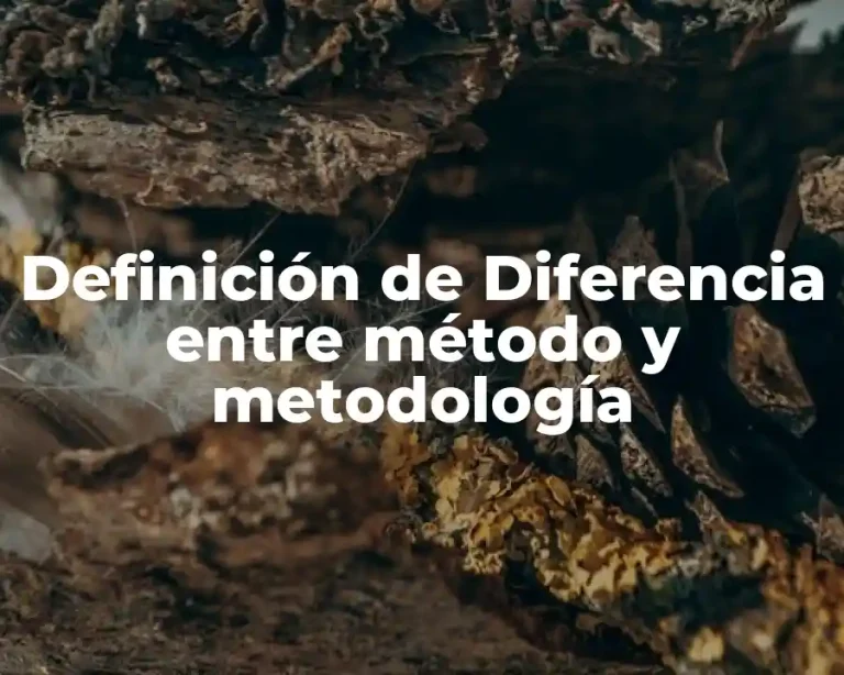 Definición de Diferencia entre método y metodología