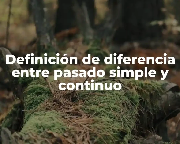 Definición de diferencia entre pasado simple y continuo