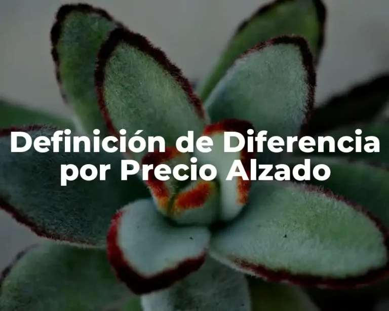 Definición de Diferencia por Precio Alzado