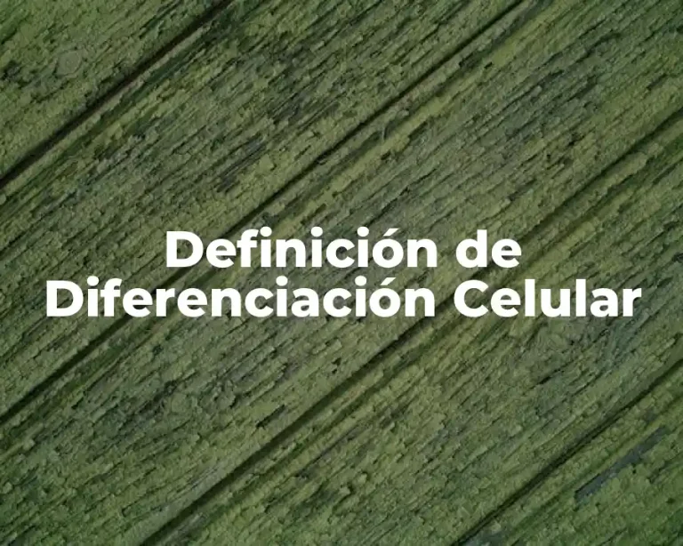Definición de Diferenciación Celular