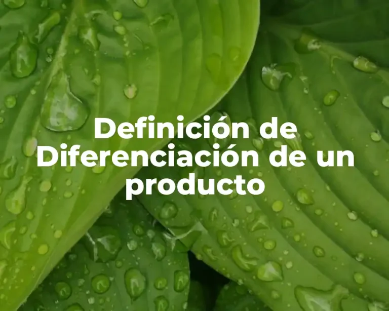 Definición de Diferenciación de un producto