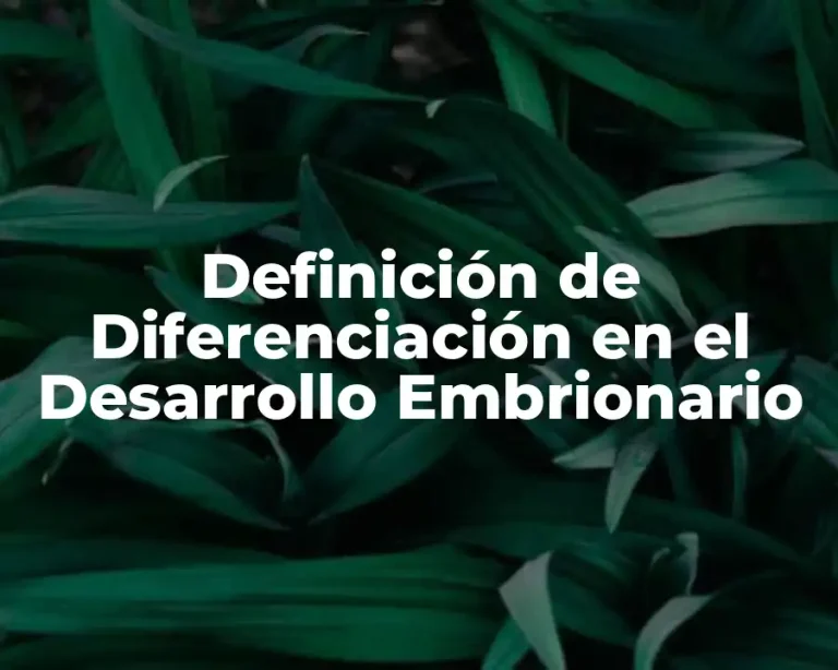 Definición de Diferenciación en el Desarrollo Embrionario