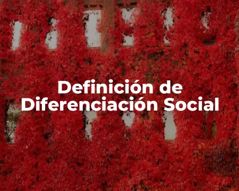 Definición de Diferenciación Social