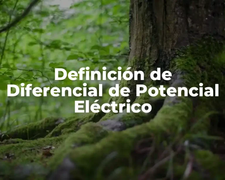 Definición de Diferencial de Potencial Eléctrico