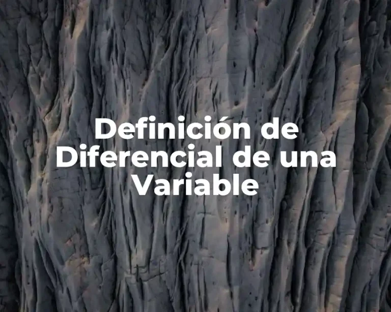 Definición de Diferencial de una Variable