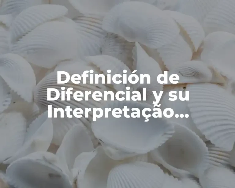Definición de Diferencial y su Interpretação Geométrica