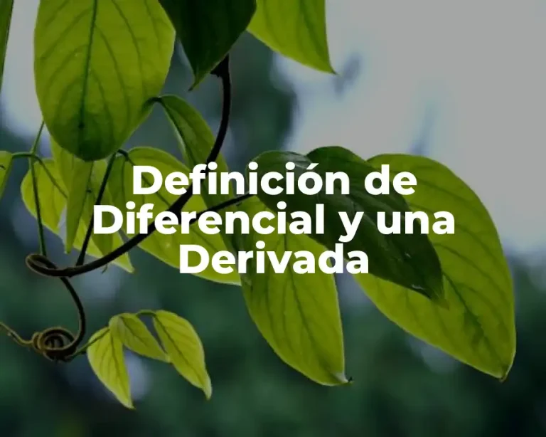 Definición de Diferencial y una Derivada