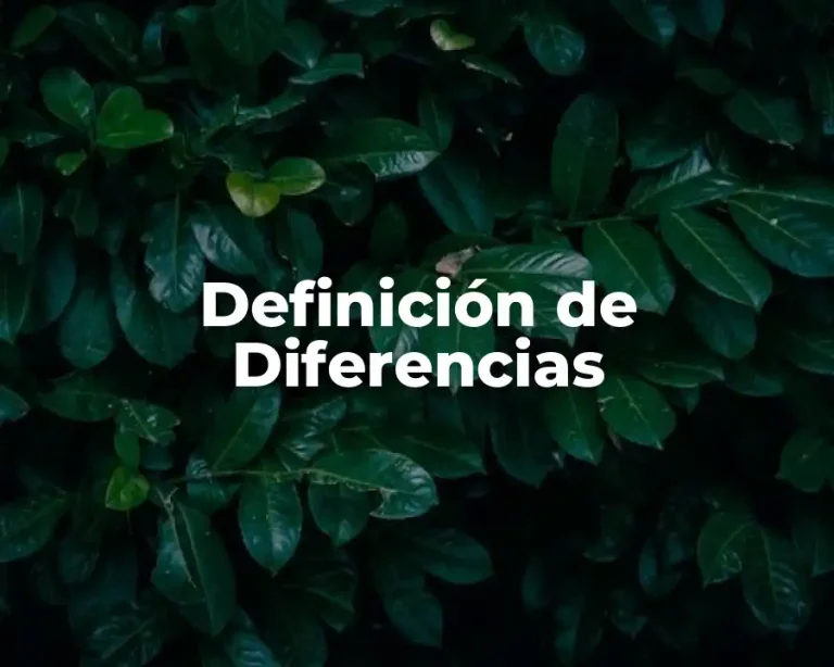 Definición de Diferencias