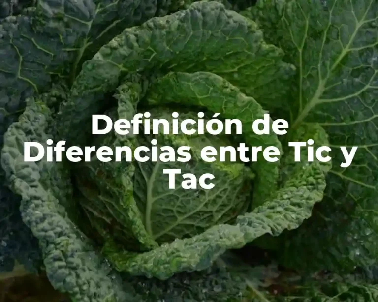Definición de Diferencias entre Tic y Tac
