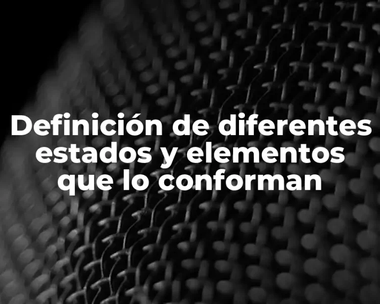 Definición de diferentes estados y elementos que lo conforman