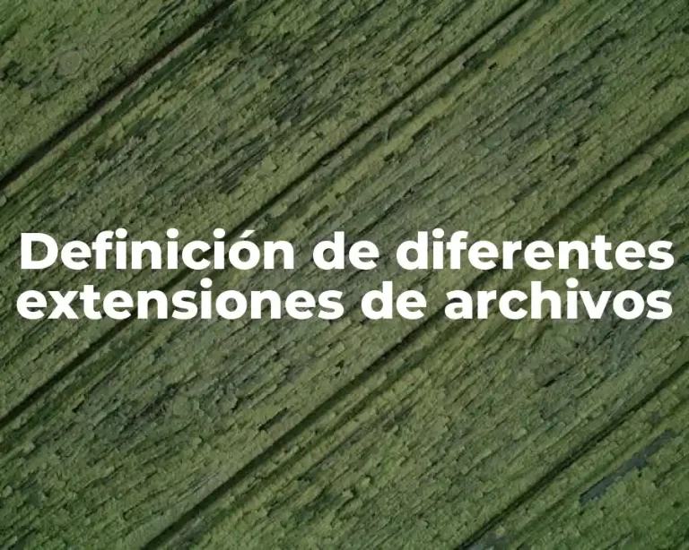 Definición de diferentes extensiones de archivos