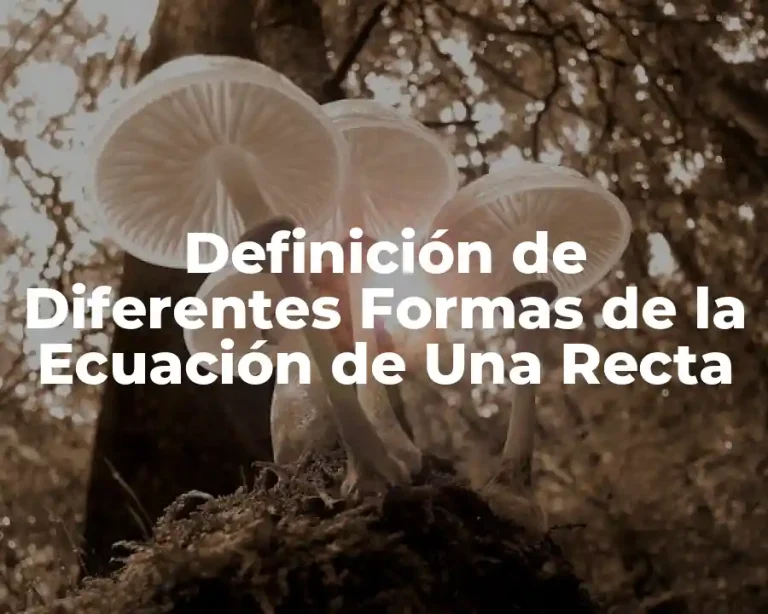 Definición de Diferentes Formas de la Ecuación de Una Recta