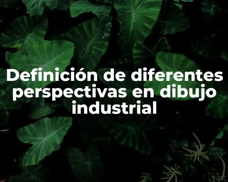 Definición de diferentes perspectivas en dibujo industrial