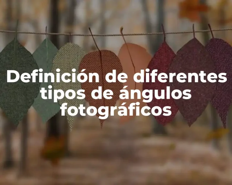 Definición de diferentes tipos de ángulos fotográficos