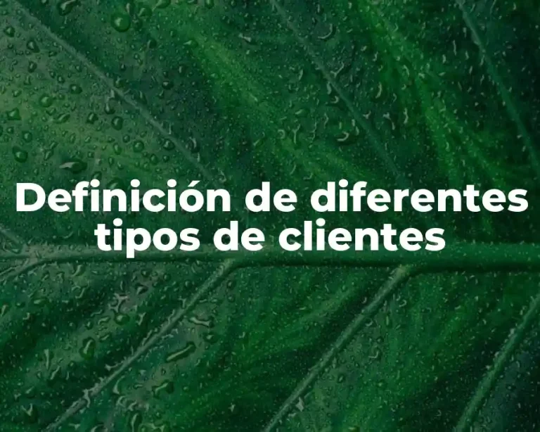 Definición de diferentes tipos de clientes