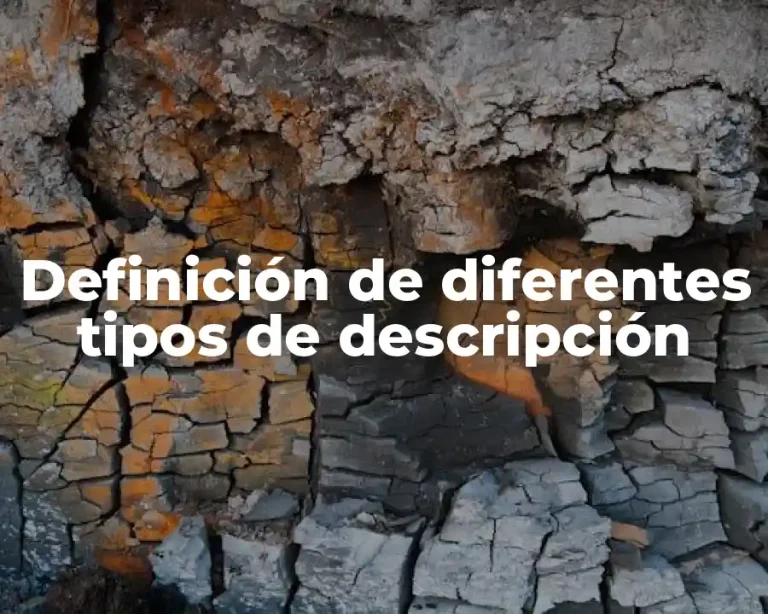 Definición de diferentes tipos de descripción