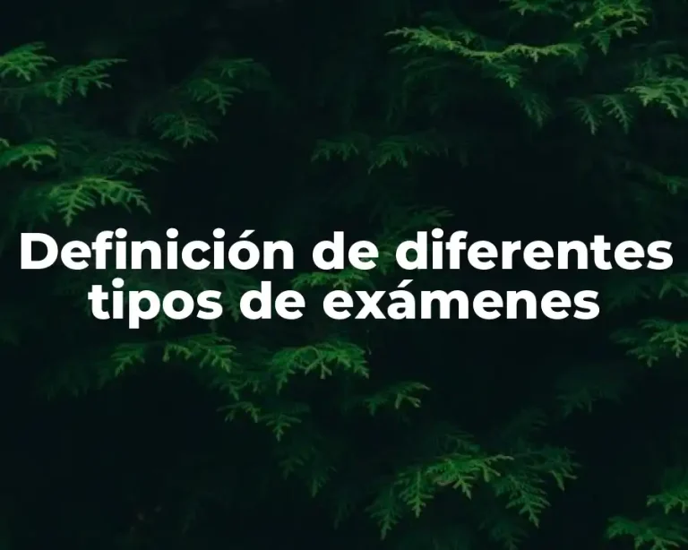 Definición de diferentes tipos de exámenes