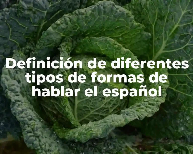 Definición de diferentes tipos de formas de hablar el español