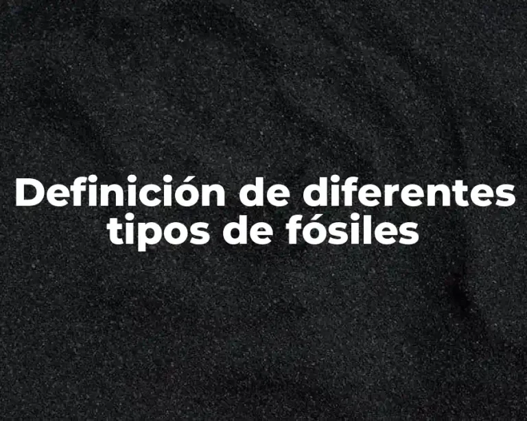 Definición de diferentes tipos de fósiles