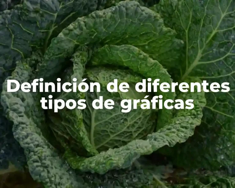 Definición de diferentes tipos de gráficas