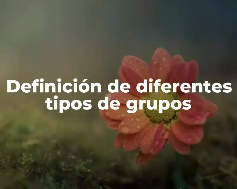 Definición de diferentes tipos de grupos