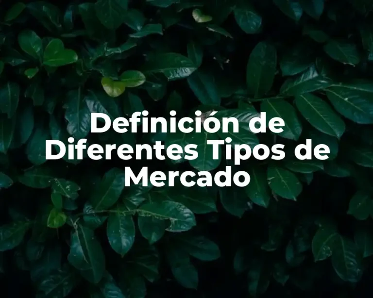Definición de Diferentes Tipos de Mercado