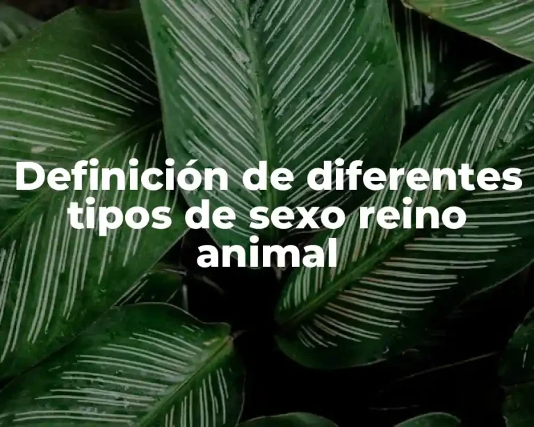 Definición de diferentes tipos de sexo reino animal