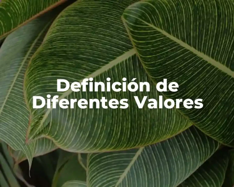 Definición de Diferentes Valores
