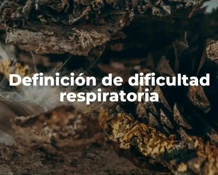Definición de dificultad respiratoria