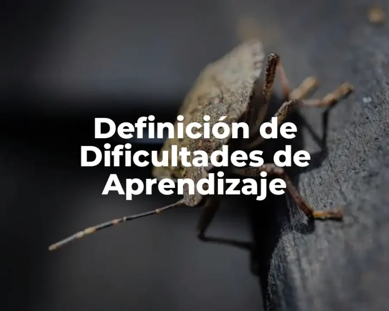 Definición de Dificultades de Aprendizaje
