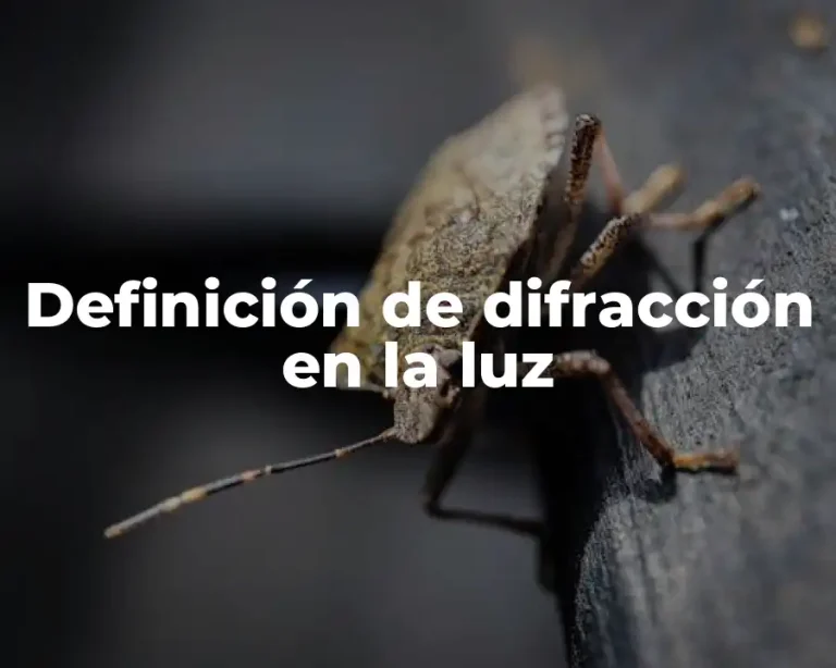 Definición de difracción en la luz
