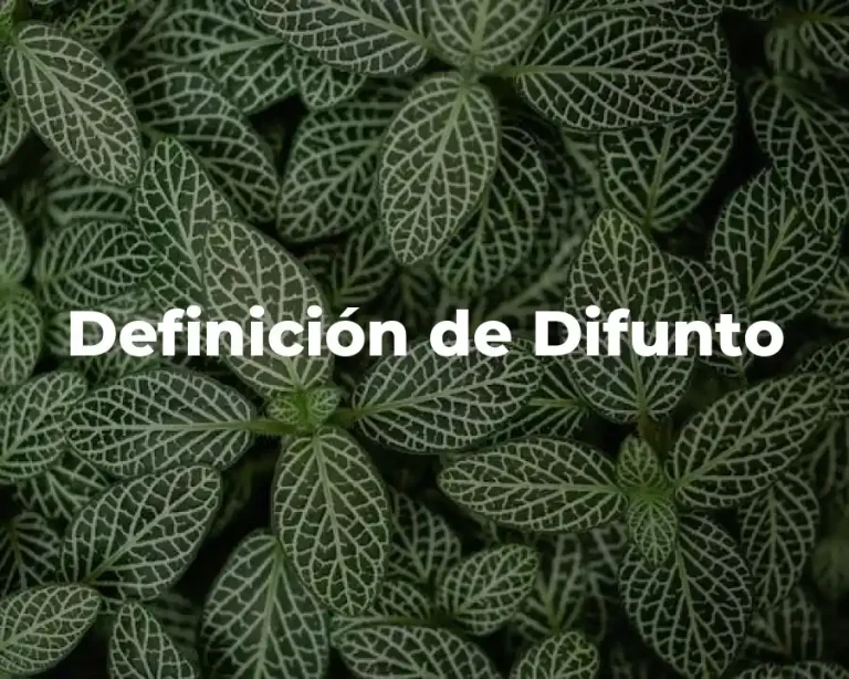 Definición de Difunto