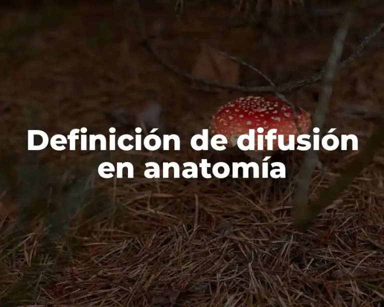 Definición de difusión en anatomía