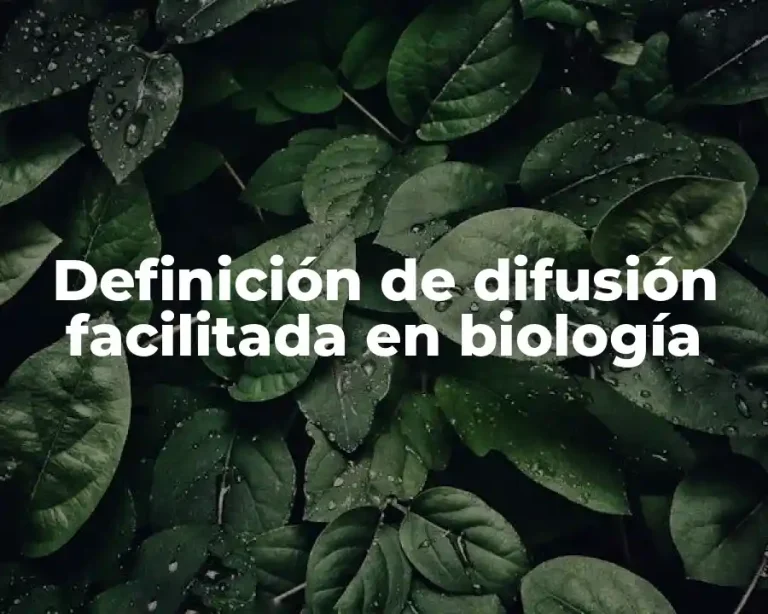 Definición de difusión facilitada en biología