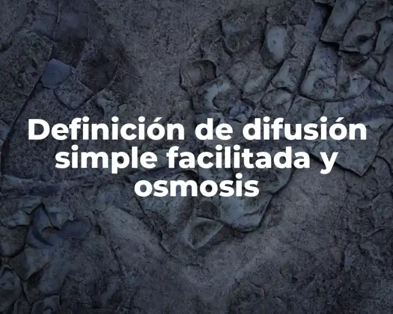 Definición de difusión simple facilitada y osmosis