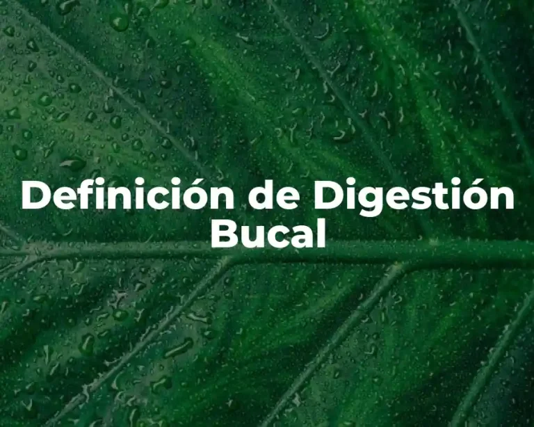 Definición de Digestión Bucal