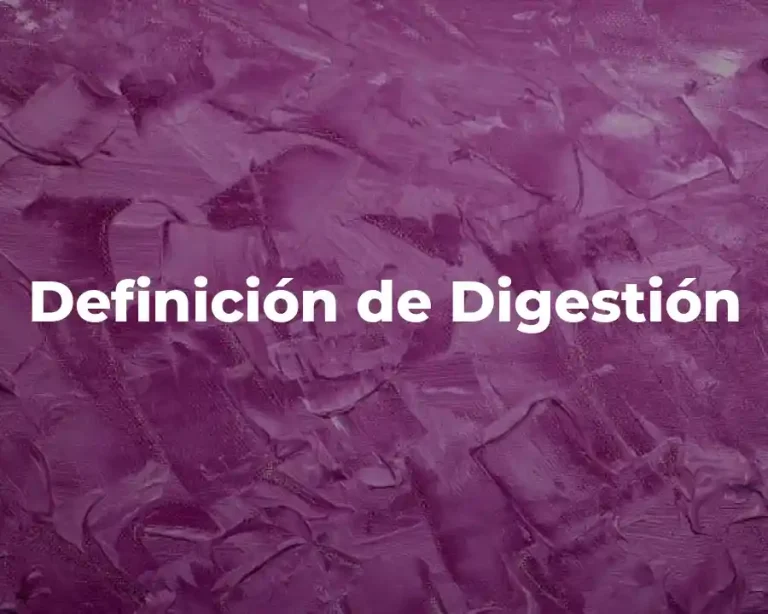 Definición de Digestión