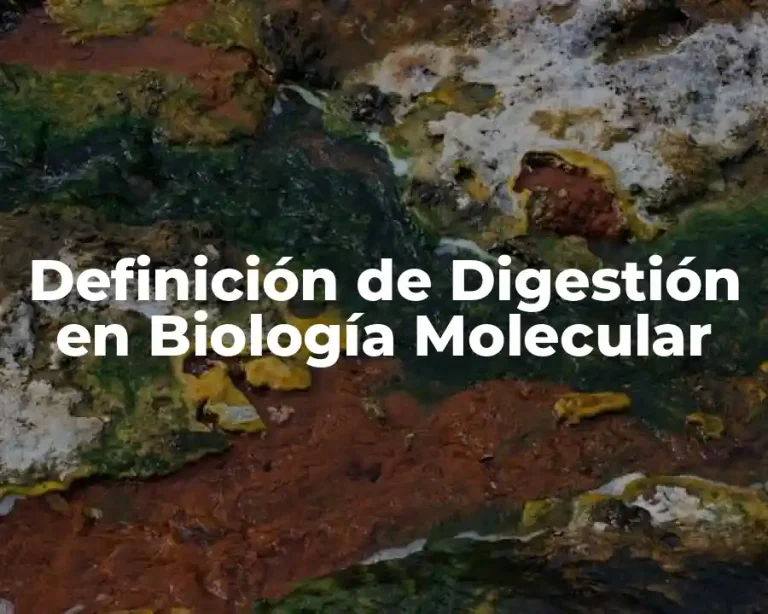 Definición de Digestión en Biología Molecular