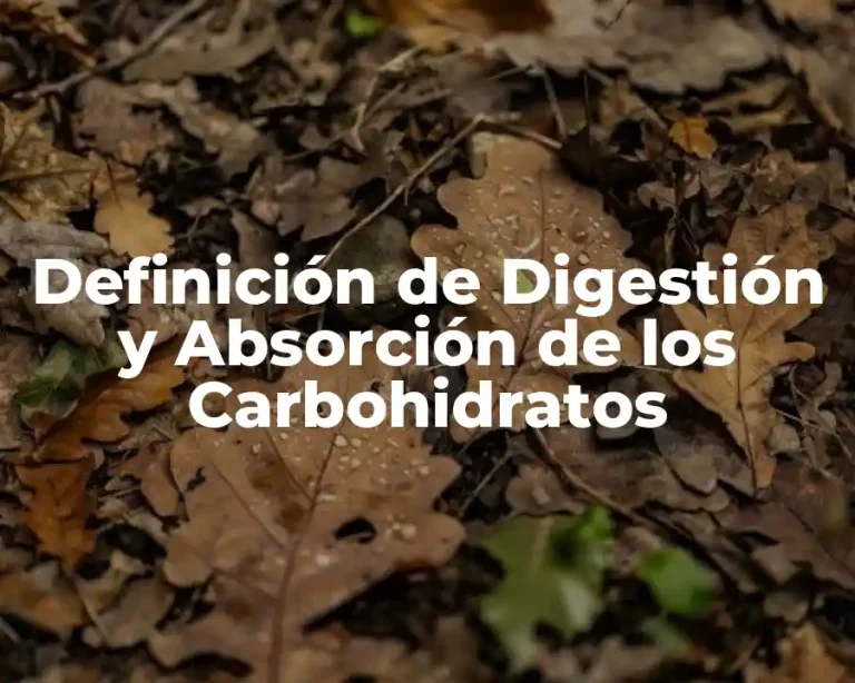 Definición de Digestión y Absorción de los Carbohidratos
