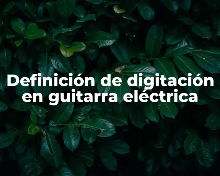 Definición de digitación en guitarra eléctrica