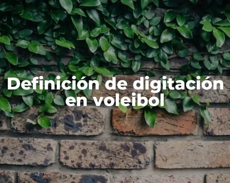 Definición de digitación en voleibol