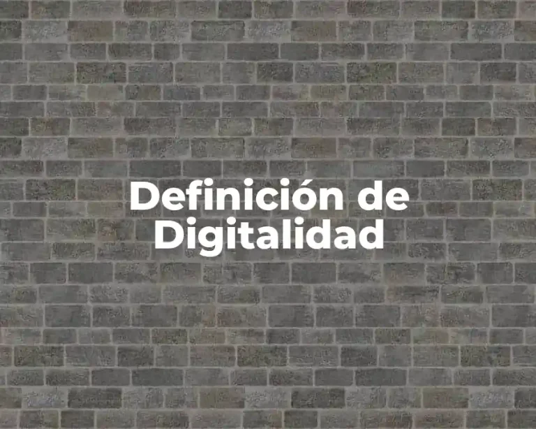 Definición de Digitalidad
