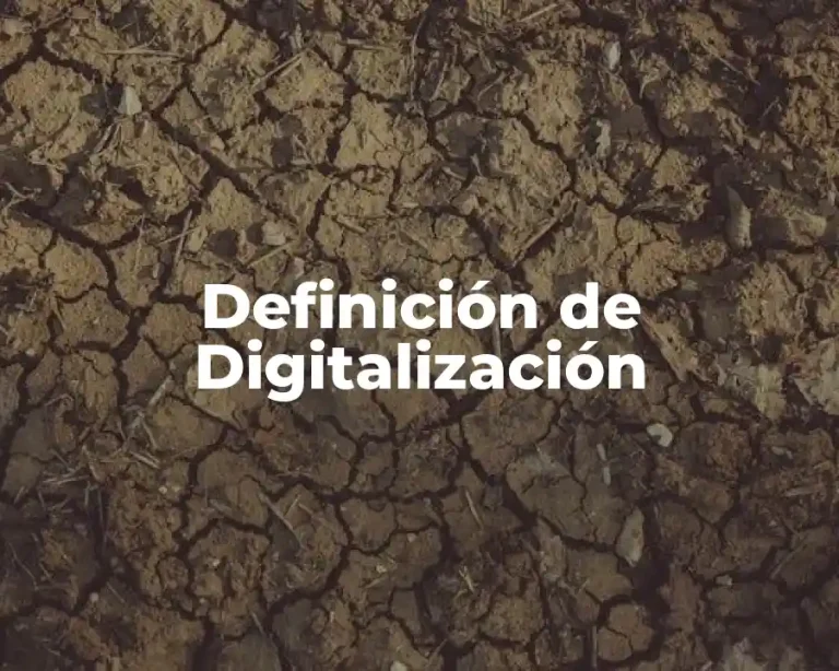 Definición de Digitalización